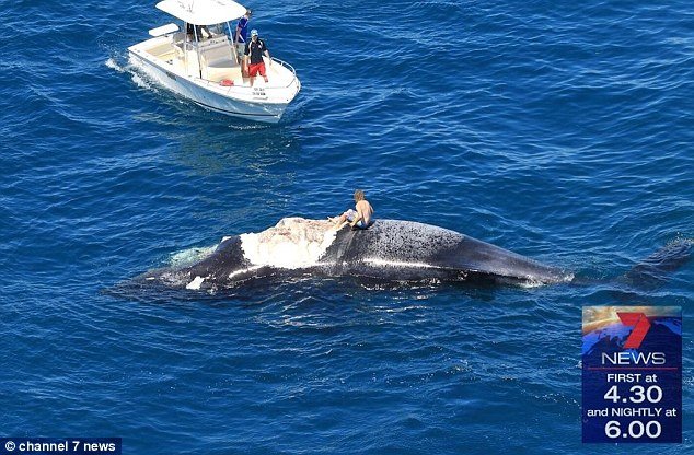 Ήρωας ή απλά ηλίθιος; Ψηφίζουμε το δεύτερο… (photos+video)