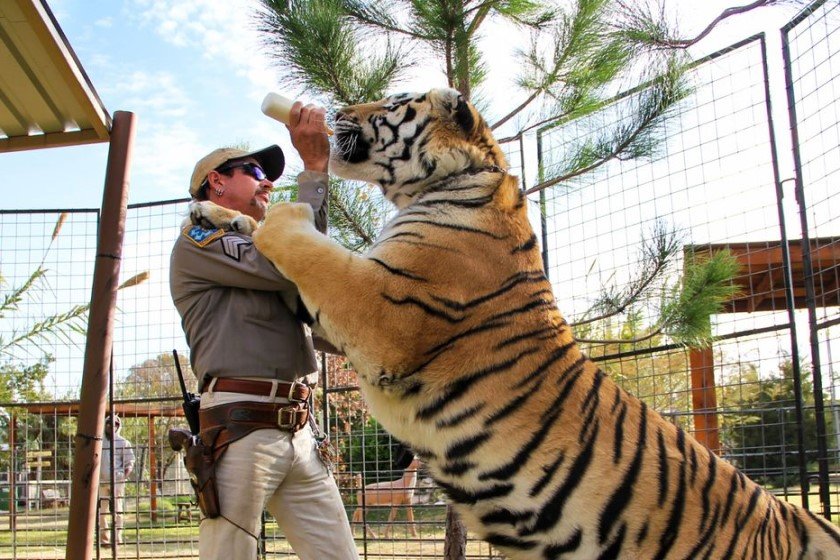 Aκόμη δεν έχουμε συνέλθει από το “Tiger King”