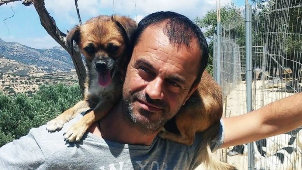 Takis Shelter: To viral καταφύγιο που παρέχει αγάπη και ασφάλεια στα αδέσποτα