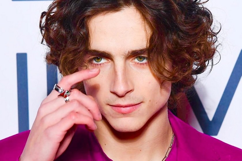 Timothée Chalamet αγάπη μου, έλα πάρε με από ’δω