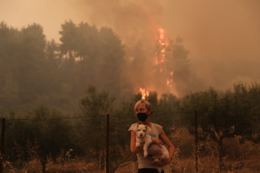 7 μύθοι για τις φετινές πυρκαγιές που θα κάψουν το μυαλό μας