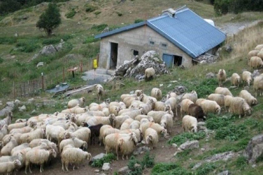 Έψαξα φθηνό δωμάτιο σε νησί τον Αύγουστο και δέχομαι συγχαρητήρια επειδή βρήκα