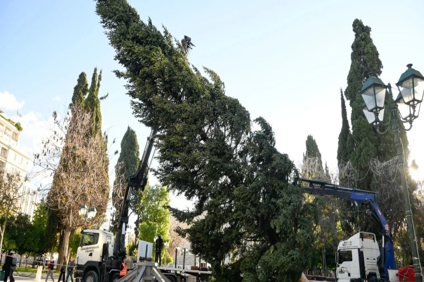 Θα το “κάψουμε” φέτος με το χριστουγεννιάτικο δέντρο στο Σύνταγμα