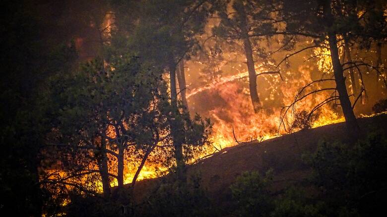 Φωτιά στη Ρόδο: Βίντεο με πιθανό εμπρησμό εξετάζουν οι Αρχές