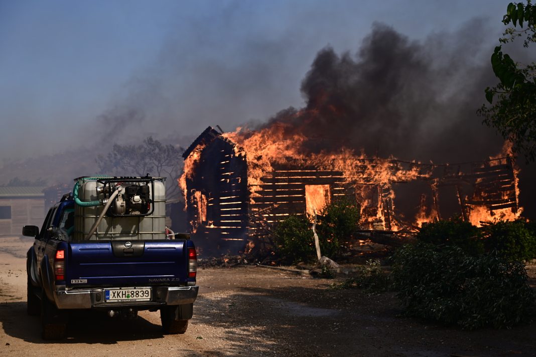 Η ανάρτηση της υπεύθυνης του καταφυγίου ζώων που κάηκε είναι σπαρακτική