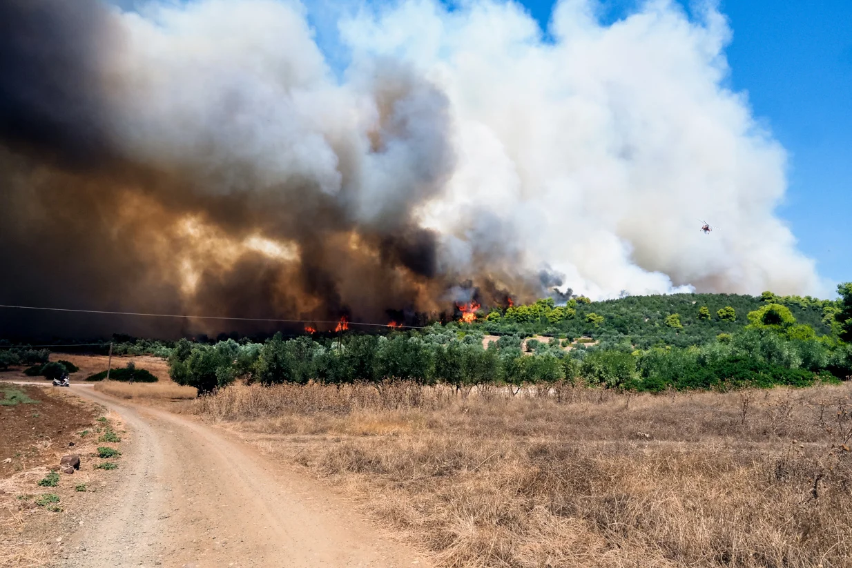 Όσα ξέρουμε για τη φωτιά σε Αλεξανδρούπολη, Εύβοια και Βοιωτία